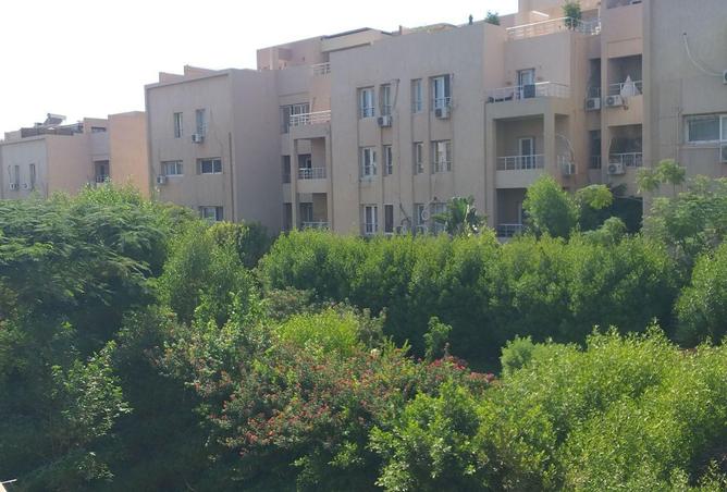 70633449 - Property Image 3