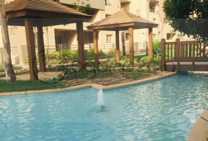 55508495 - Property Image 2