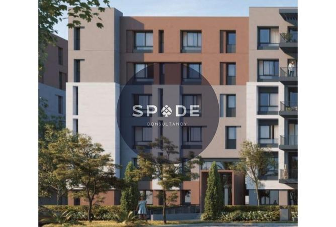 58987331 - Property Image 3