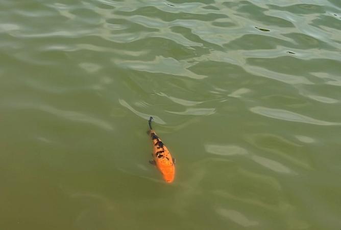 104872116 - Property Image 3
