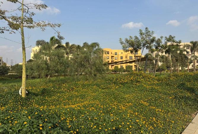 65100473 - صورة العقار 2