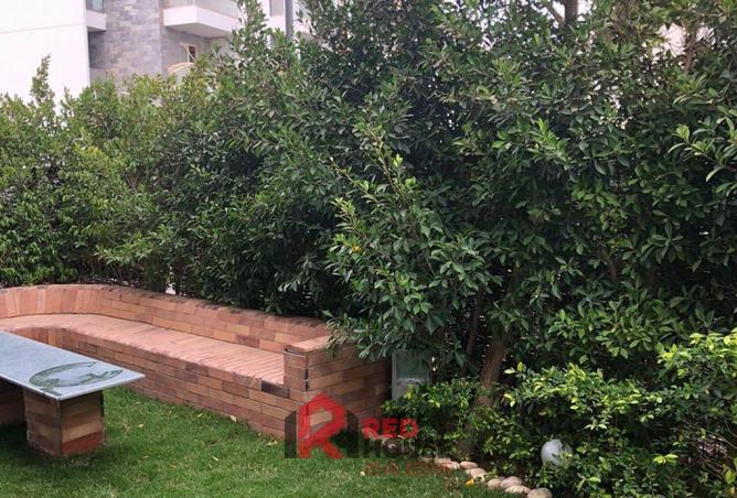 54238916 - صورة العقار 2