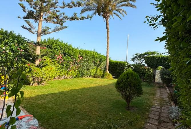 107972624 - Property Image 2