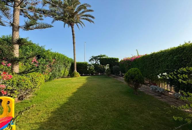 107972624 - Property Image 3