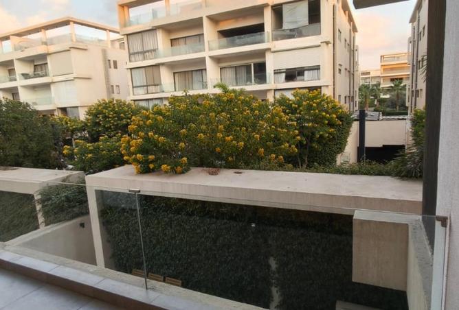 66431288 - Property Image 3