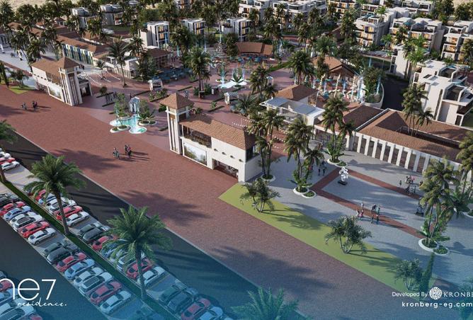 55500013 - صورة العقار 3