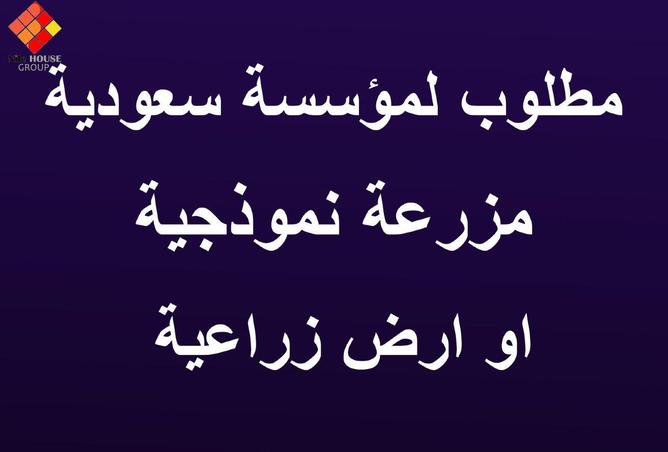 74855595 - صورة العقار 2