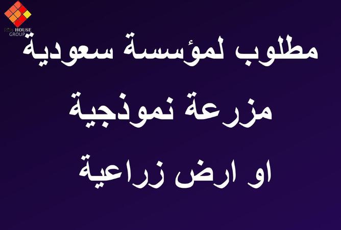 74855595 - الصورة الرئيسية للعقار