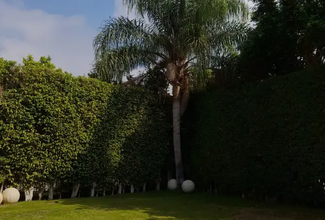 91864856 - صورة العقار 2