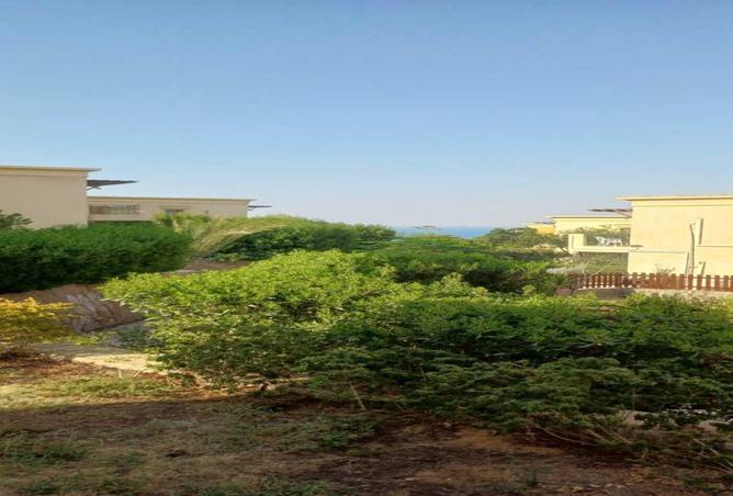 54746385 - Property Image 3