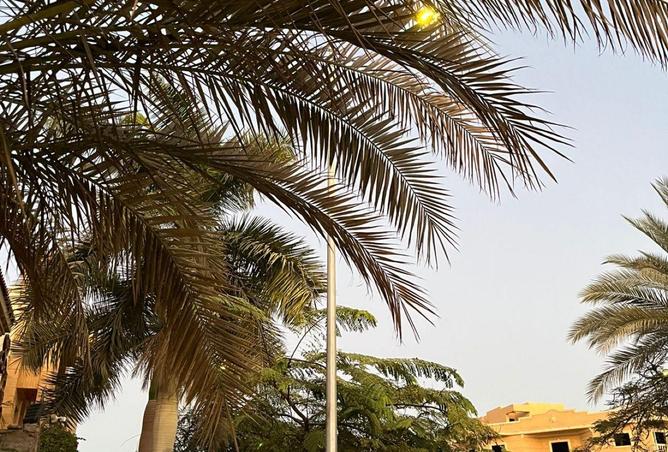 8721604 - صورة العقار 3