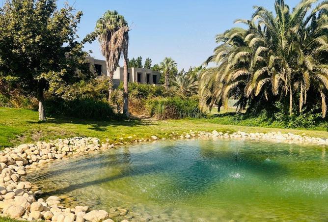 8578439 - صورة العقار 2