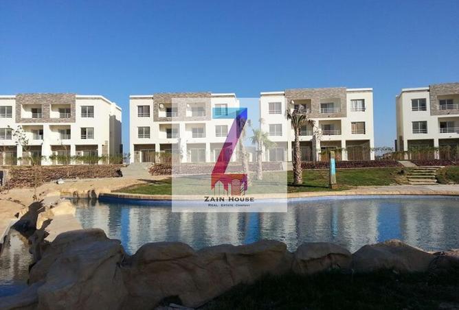 58496142 - Property Image 3