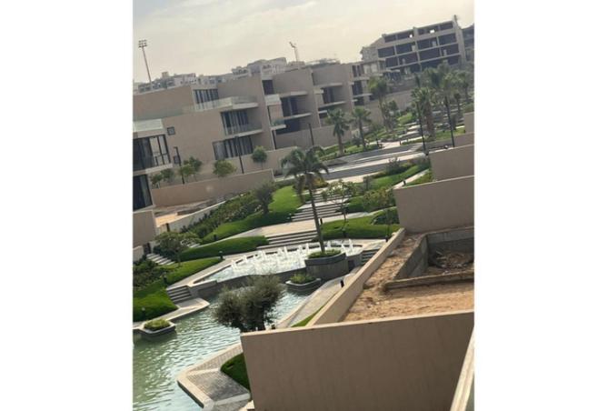 55762205 - Property Image 3