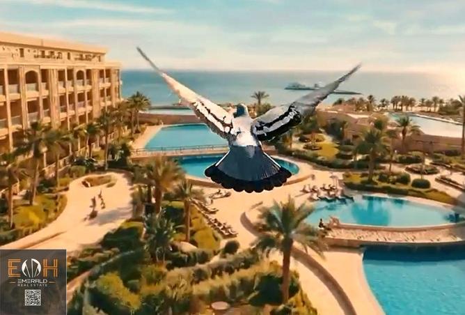 67741491 - Property Image 3