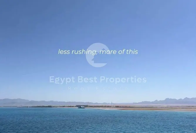 113543414 - صورة العقار 2