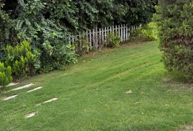 121151386 - Property Image 2