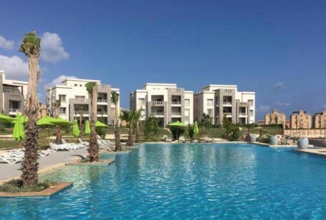 58241454 - صورة العقار 2