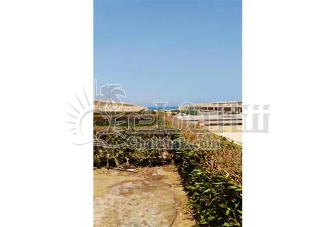 62408775 - الصورة الرئيسية للعقار