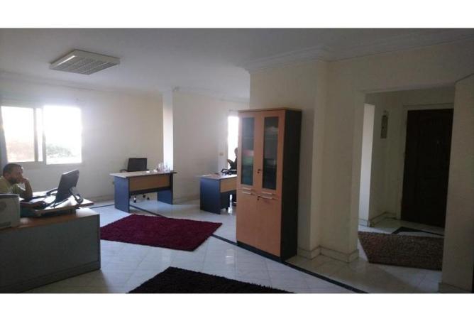 66166821 - Property Image 3