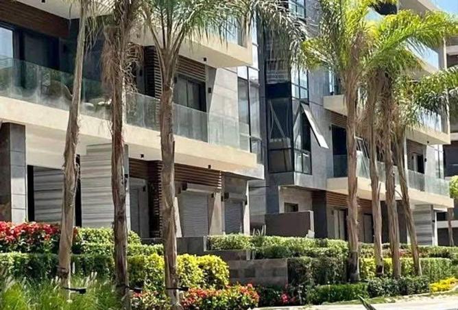 8547499 - Property Image 3