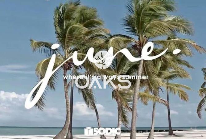 56504754 - Property Image 3