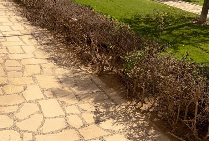 98012554 - صورة العقار 2