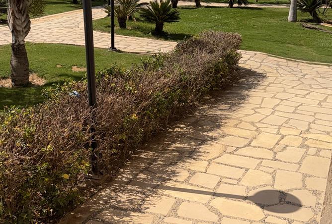 98012554 - الصورة الرئيسية للعقار