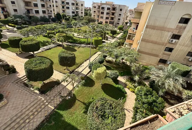 114355396 - صورة العقار 2