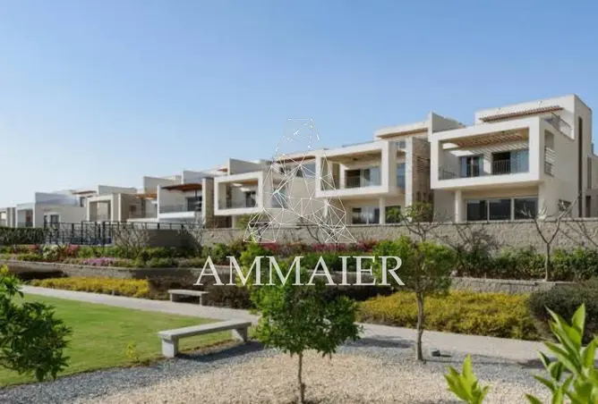 117534742 - صورة العقار 3