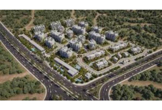 65911209 - Property Image 3