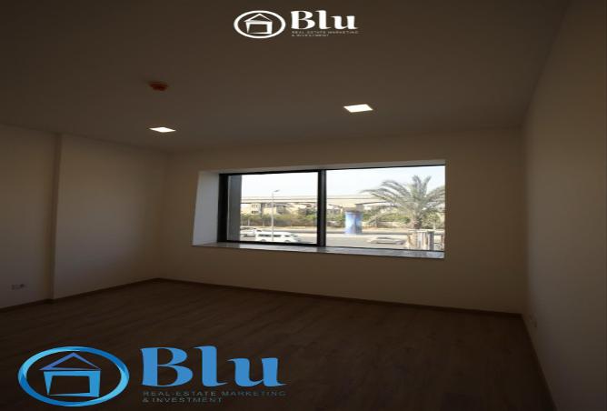 81300649 - Property Image 2
