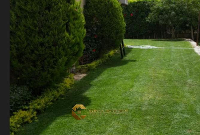 77323080 - صورة العقار 2