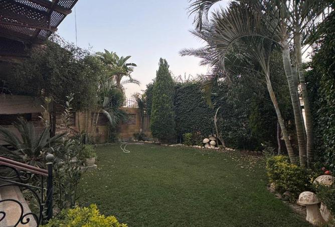 67740866 - صورة العقار 3