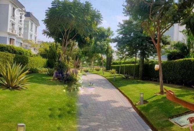 53730575 - Property Image 3