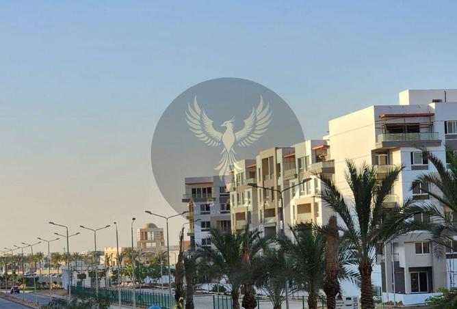 62886362 - Property Image 3