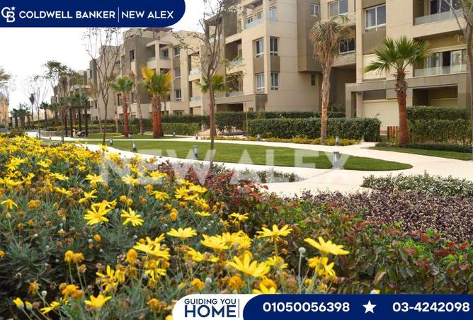 8711547 - Property Image 3