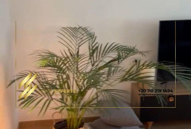 71912489 - صورة العقار 3