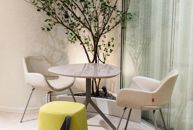 66961336 - صورة العقار 3