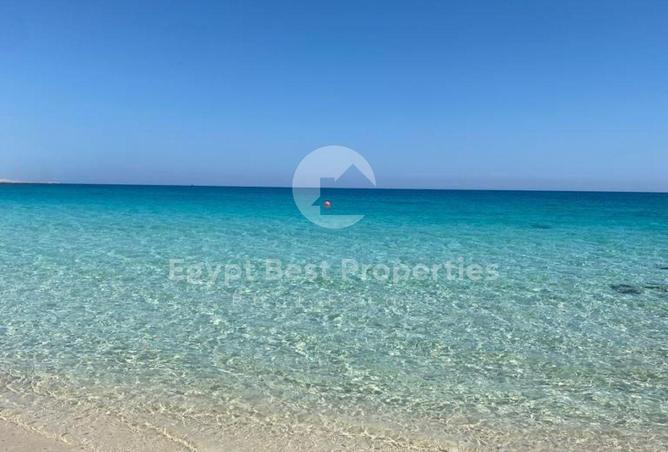 97144876 - صورة العقار 3