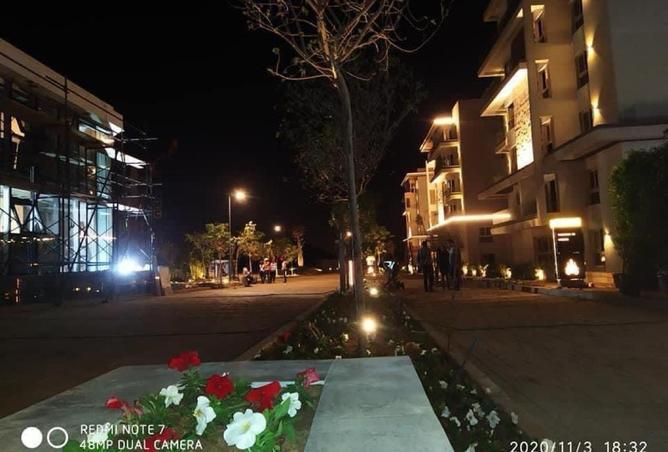 8595768 - Property Image 3