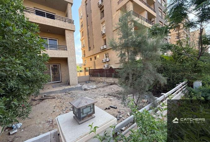 74320895 - Property Image 3