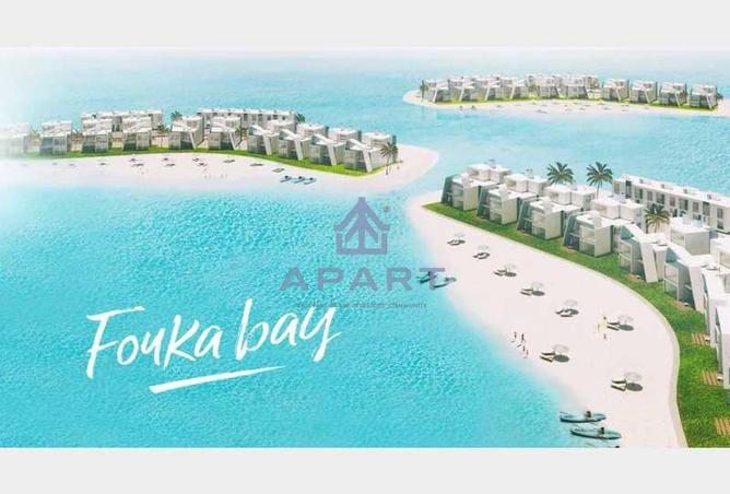 66427190 - صورة العقار 3