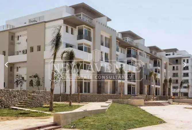 113525020 - Property Image 2