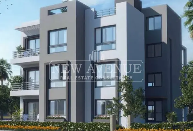 113525020 - Property Image 3