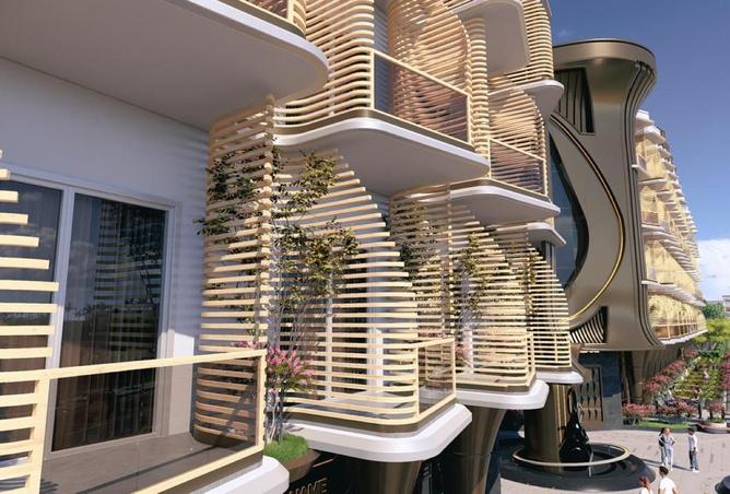 70625127 - Property Image 2