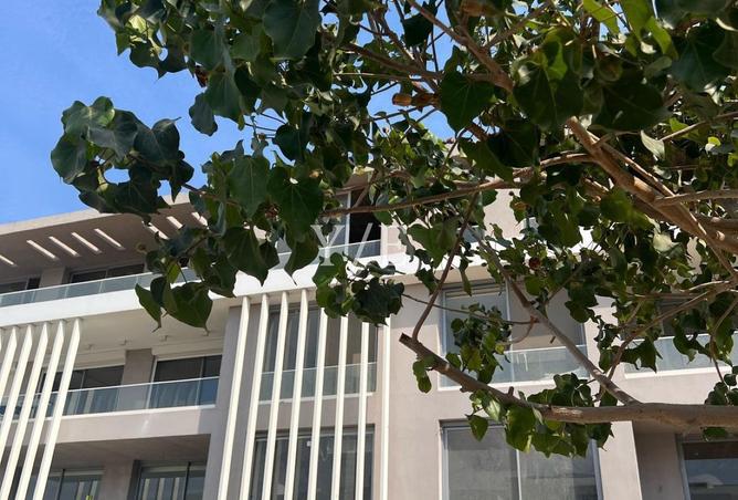 8553723 - صورة العقار 2