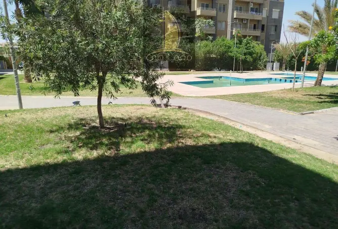 104597052 - صورة العقار 3