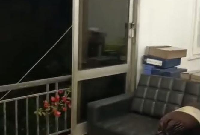 8450554 - Property Image 2