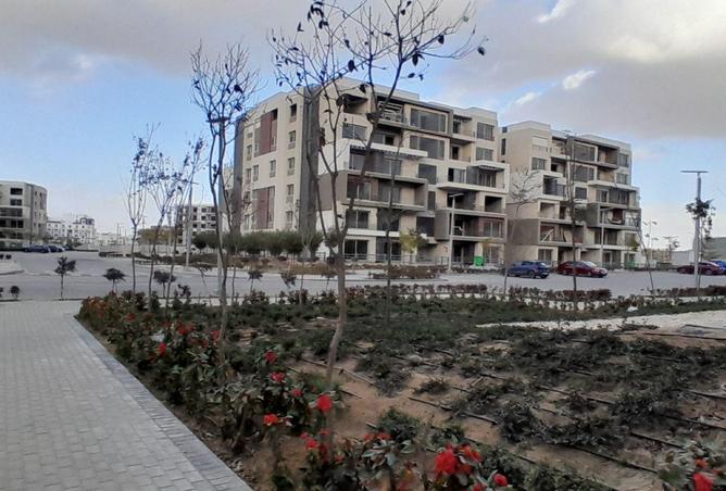 83991536 - صورة العقار 2